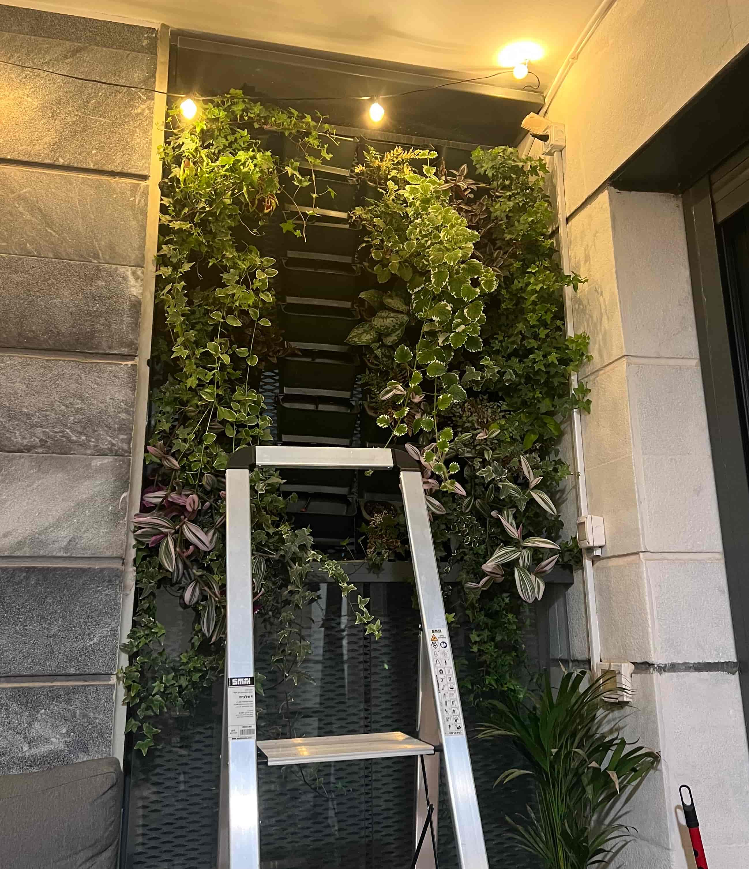 Vertical garden installation in progress with mounted planters and ladder